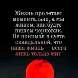 ������� ���������, ������, 48 ���