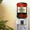 ���� �������� ..., ���������, 45 ��� - ��������� 9 �������� 2025 � ������ ���� ����������