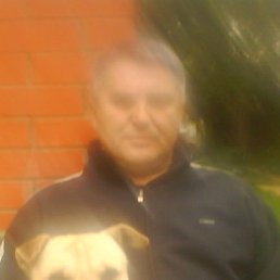 ������, �����������, 71 ���