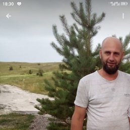 , 41, 