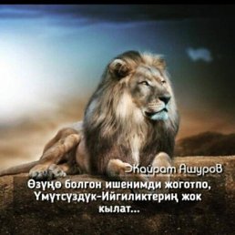 �������, ������, 28 ���