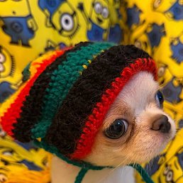 ����, ���������, 22 ����