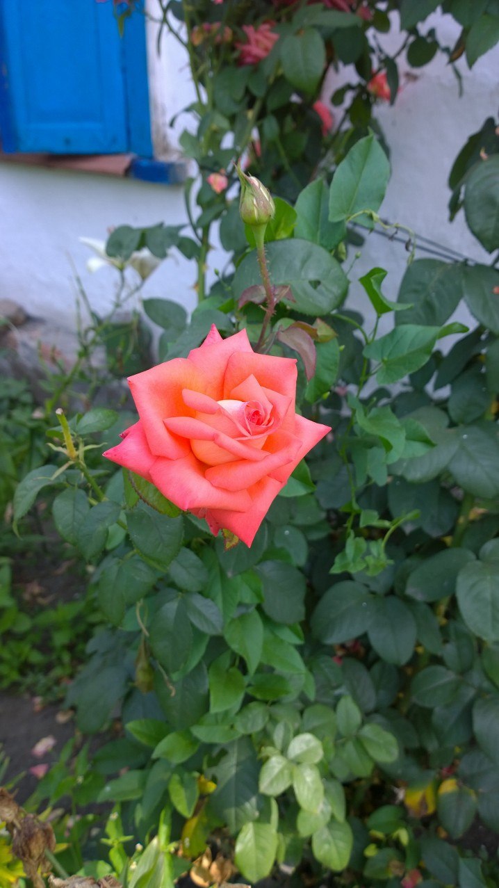 Наталия - 26 сентября 2025 в 09:32