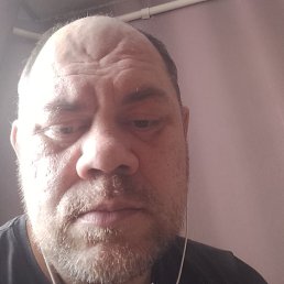 ������, ����������, 40 ���