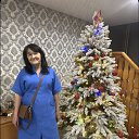 ���� �����, ������, 67 ��� - ��������� 17 ������� 2026 � ������ ���� ����������