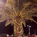 ���� �������, �����-���������, 58 ��� - ��������� 23 ������� 2025 � ������ ���� ����������