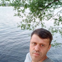 , 34, 