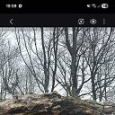 ���� ��������, ���������, 54 ���� - ��������� 24 ������ 2026 � ������ ���� ����������