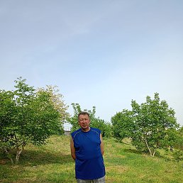 ������, ���������, 61 ���