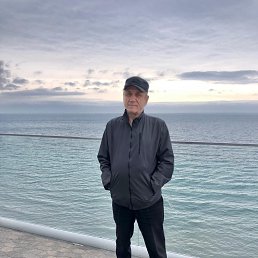 , 65, 