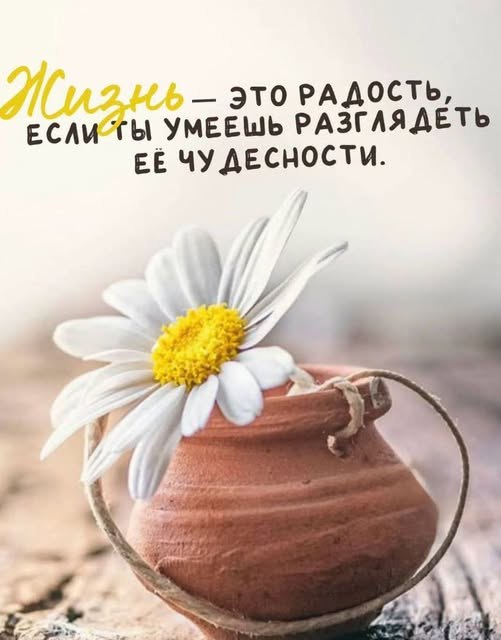 Iga - 24 ���� 2026 � 06:46