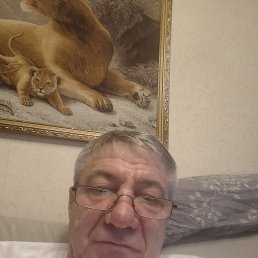 ����, 62 ����, ������