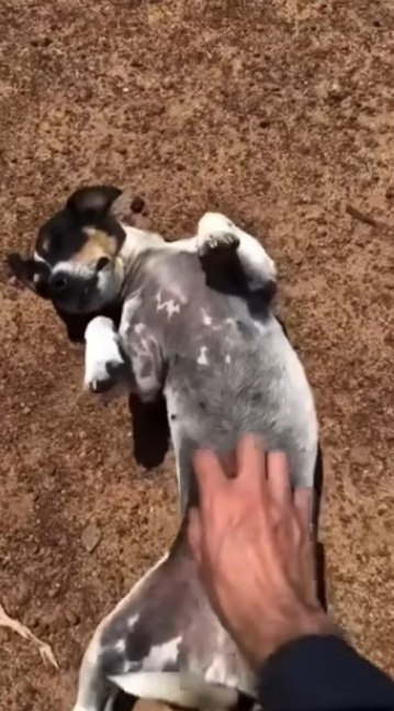 �������� ���������� �� �������.� ������ ������ ���� �� ������� �����