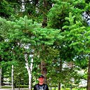 ���� ���������, �����������, 40 ��� - ��������� 15 ������� 2025 � ������ ���� ����������