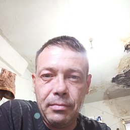 , 42, 