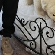 ��������, 43 ����, ��������