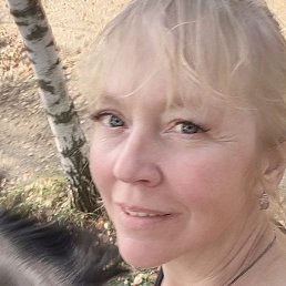 �����, ������ ��������, 49 ���