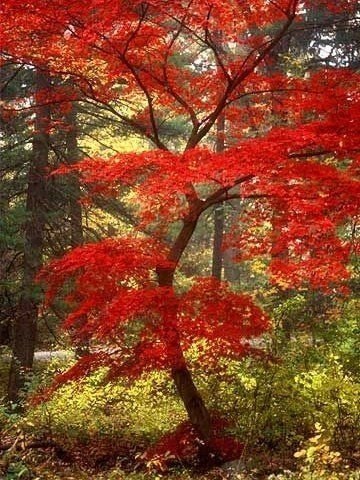 Стихи и цитаты - 15 сентября 2025 в 20:37 - 6