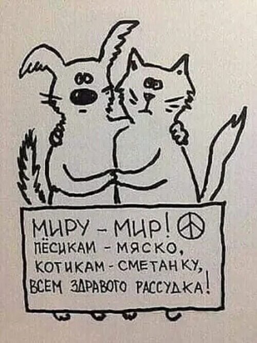 Всё будет хорошо! - 27 октября 2025 в 10:56