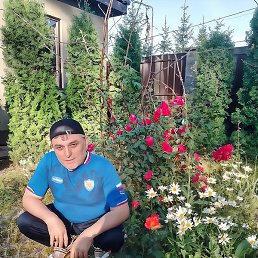 �����, �����-���������, 53 ����