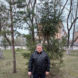 , 53, 