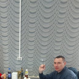 , 37, 