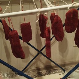 ���� ������, ������, 58 ��� - ��������� 15 ������� 2025