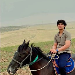 , 21, 