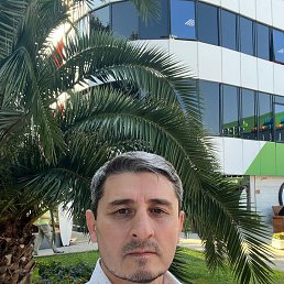 �������, 50 ���, ������