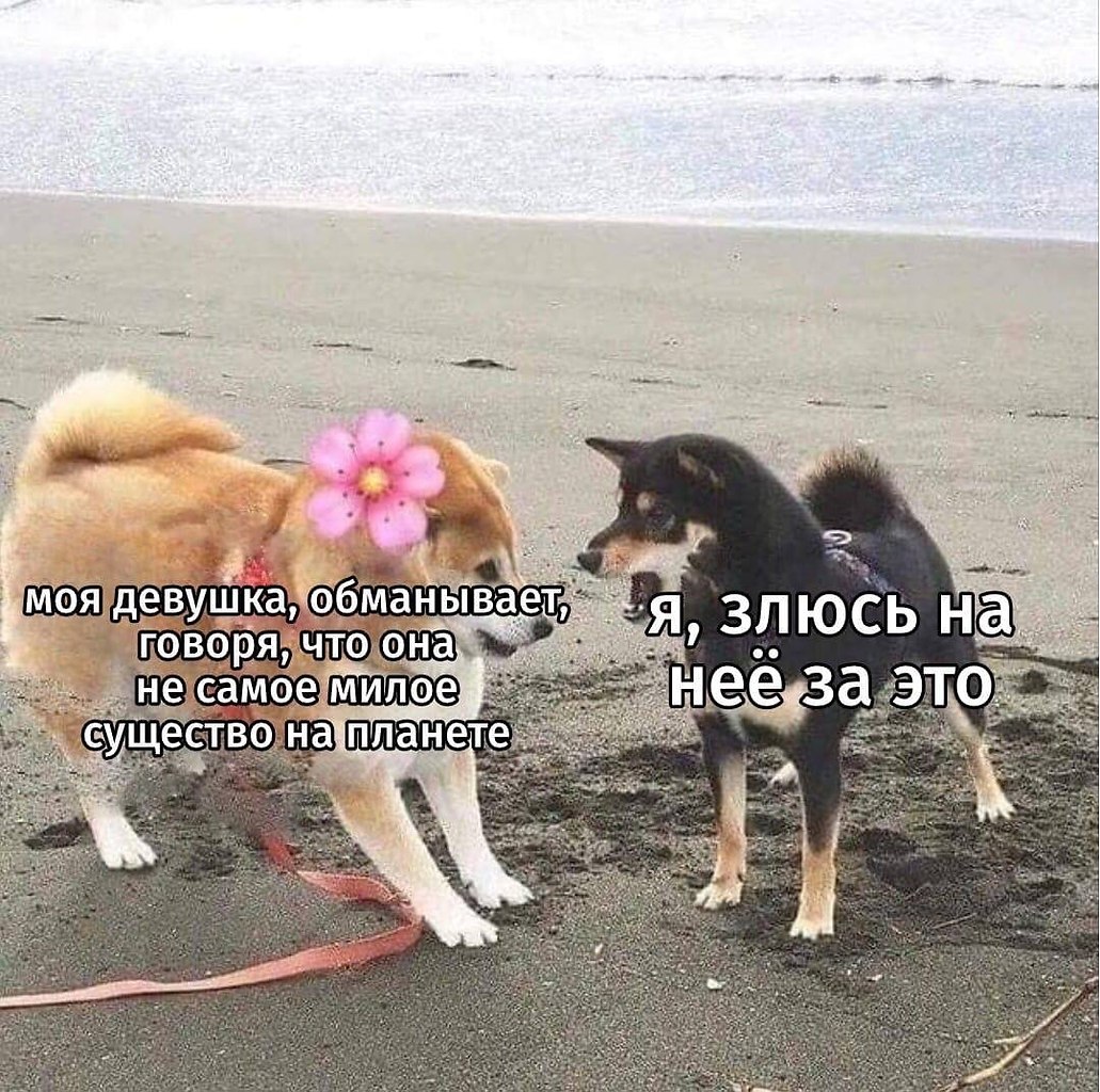   - 29  2024  16:31