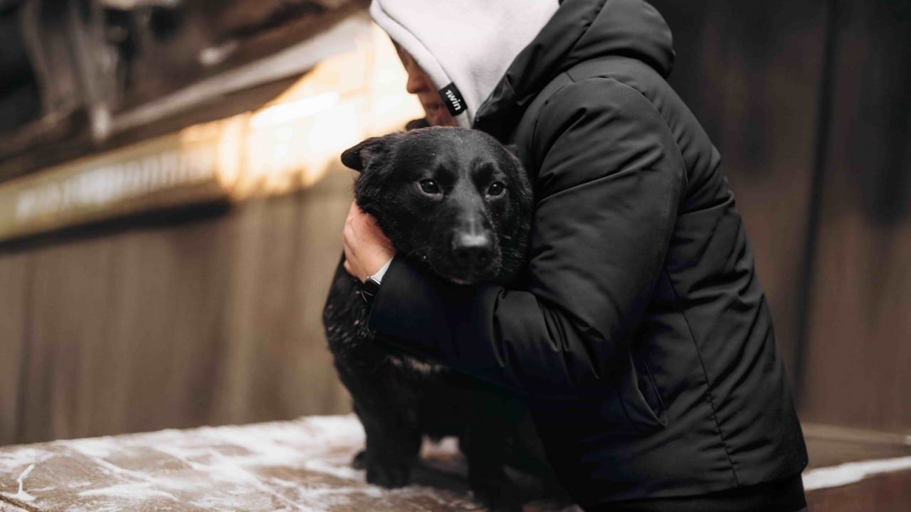 � ����������� ���������� ������������� ������ ��� 1000 ��������� ����� ��� ��������� 1win Charity. ...