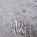 ���� �������, �����, 34 ���� - ��������� 29 ������ 2026