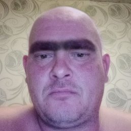 ����, ���������, 40 ���