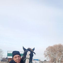 , 53, 