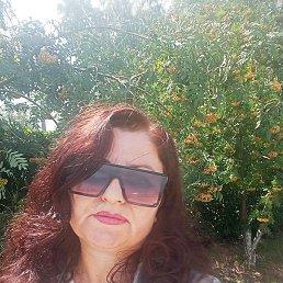 ��������, �������, 50 ���