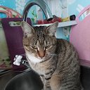 ���� �����, ������, 62 ���� - ��������� 22 ������� 2023 � ������ ���� ����������