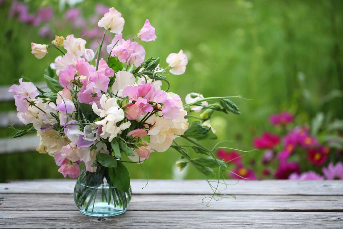 ОБО ВСЕМ - 13 июля 2025 в 16:47