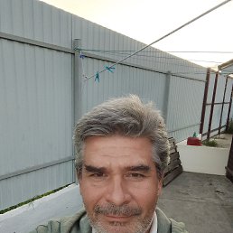 , 43 , 