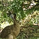 ���� �����, �������, 42 ���� - ��������� 6 �������� 2025