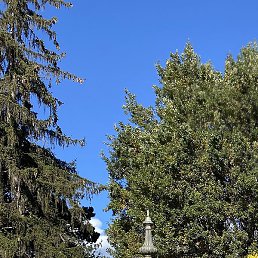 �����, ������, 56 ���