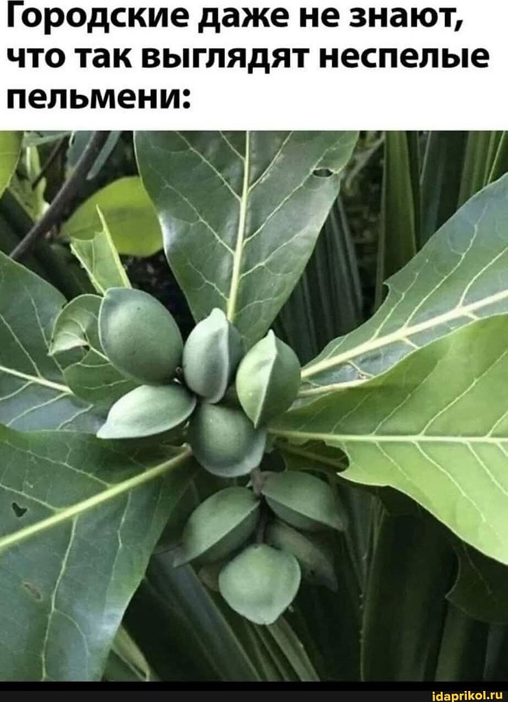 :)