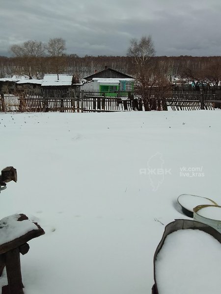 Зимняя атмосфера сегодня утром на юге Красноярского края. Новосёловский район, деревня Аешка, ...