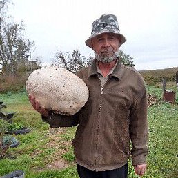 ������, ������, 63 ����