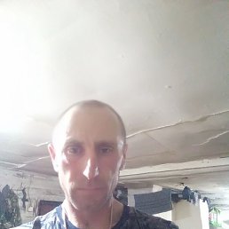 ������, ���������, 41 ���