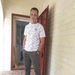 , 41, 