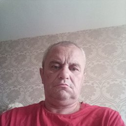 , 56, 