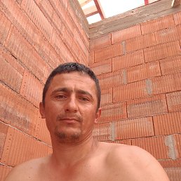 , 29, 