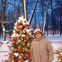 ���� �������, ������, 71 ��� - ��������� 7 ������ 2026 � ������ ���� ����������