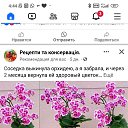 ���� �����, ������, 61 ��� - ��������� 20 ������� 2024