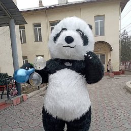 �����, ������, 33 ����